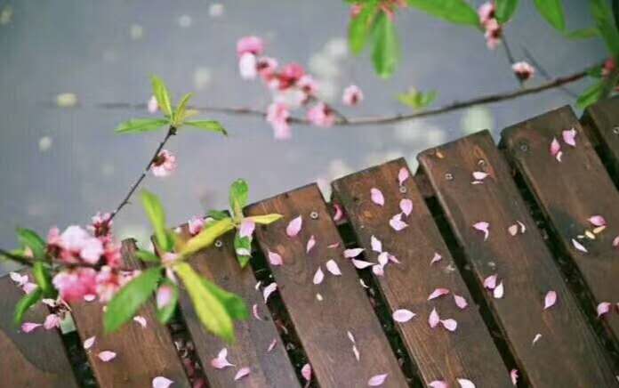 饺子原创是谁,饺子原创创作