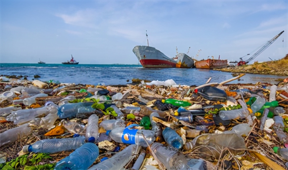 霍金预言科学未解之谜,霍金预言人体内发现塑料颗粒