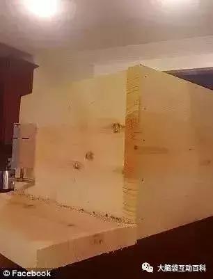 美国快递为什么慢,美国快递有多慢