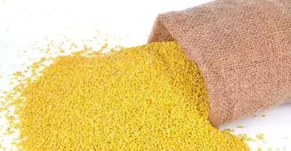 有机小米种出绿色致富路,有机小米绿色健康