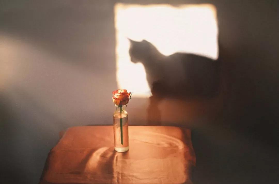 忙能治愈一切矫情图片,忙能治愈一切矫情的上一句