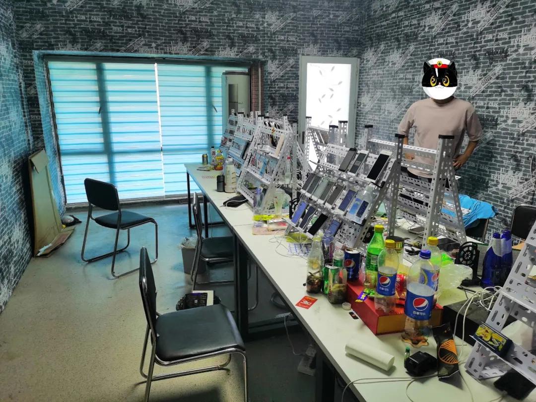 公安打掉一批违法犯罪团伙,雷霆出击抓获犯罪团伙