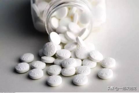 家里过期的小药片用来养花有妙用,过期的药片可以直接放在花盆里吗