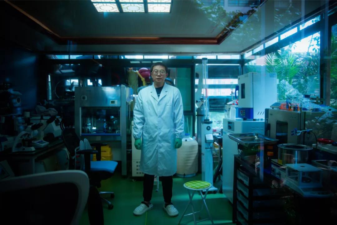 制药救子成功了吗,制药救子