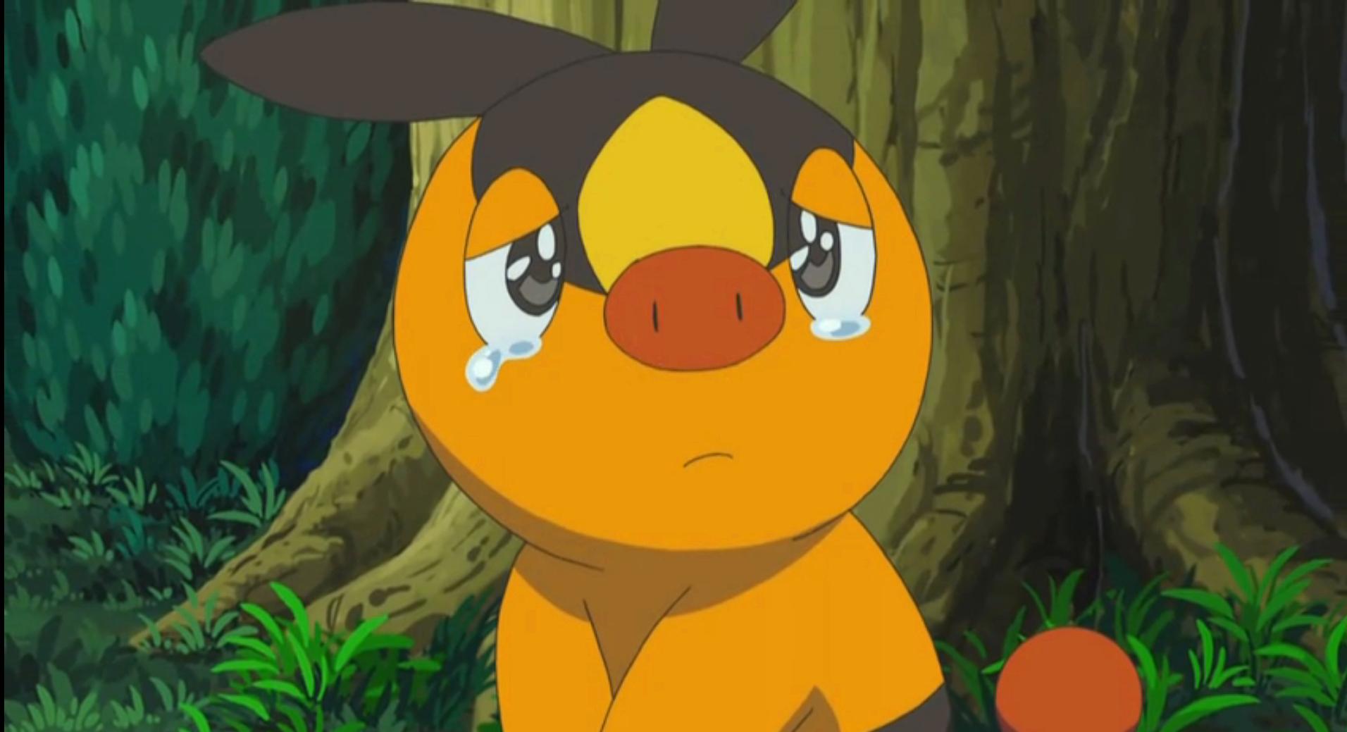 精灵宝可梦2024年最新动画,24年会出新的精灵宝可梦动画片