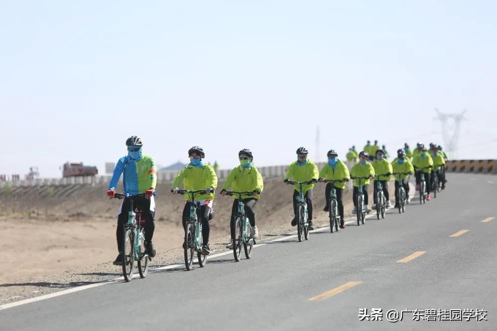 广东碧桂园职业学院评价,广东碧桂园职业学院绩点