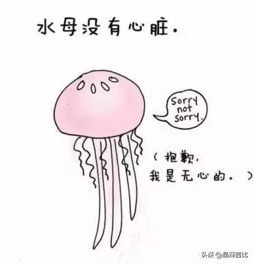 8个关于动物的冷知识,你不知道的二十条动物冷知识