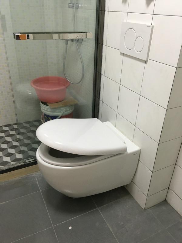 壁挂马桶是鸡肋好看不实用,壁挂马桶后悔了吗