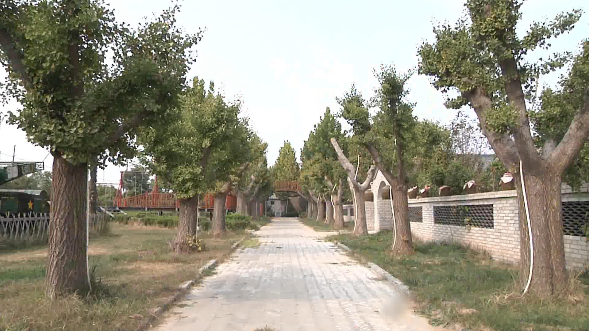 滑县康百旺酒业,滑县道口康百旺