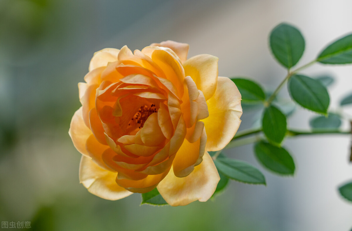 同样只活在自己的世界里，熊磊、丁红、素老三，人生如此不同