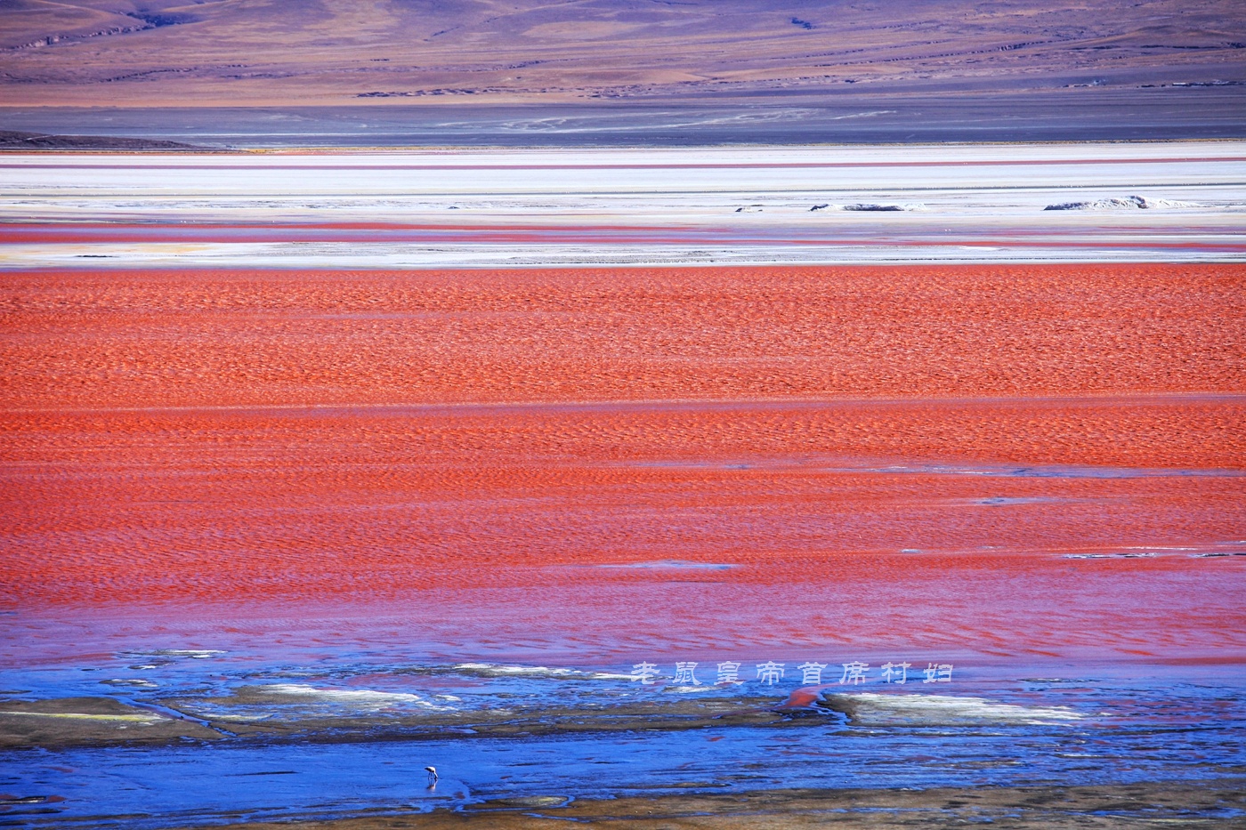 玻利维亚天空之镜无滤镜,玻利维亚看天空之镜