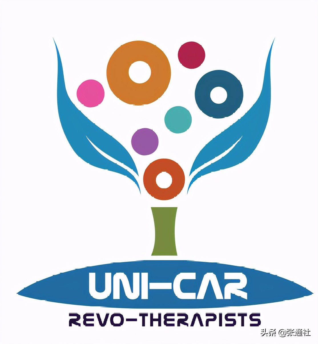 上海张江投了哪些公司,张江融资事件