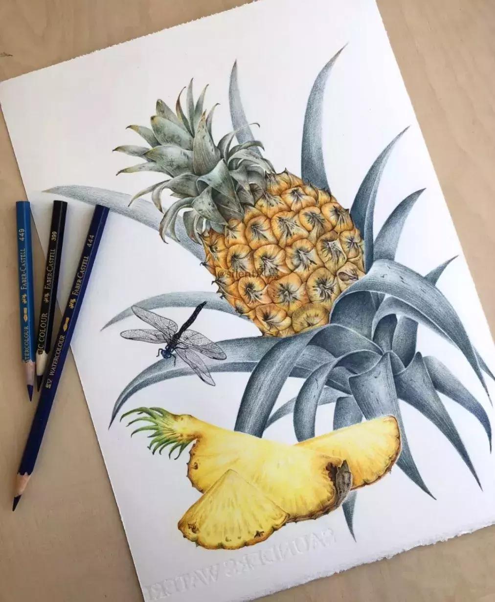 惊艳的彩铅画兔子,惊艳唯美的彩铅画