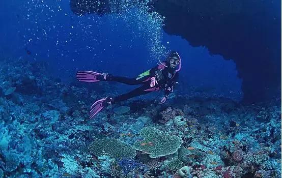 国内潜水需要潜水证吗,潜水考证后在哪潜水