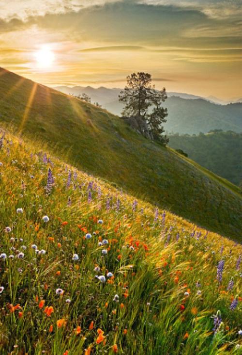 胡雪岩赚钱的秘诀,胡雪岩如何