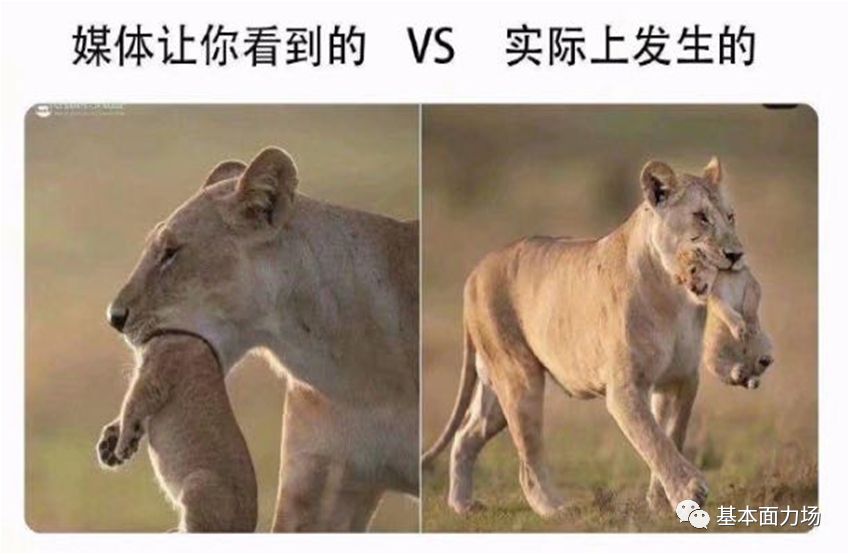 【基本面解读】被媒体“围剿”的视觉中国,到底有多赚钱?