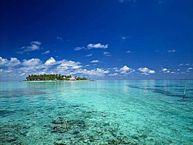 澳洲旅游袋鼠,澳洲袋鼠国旅游