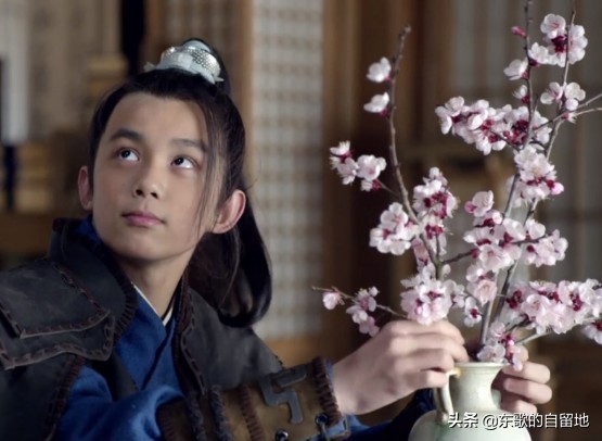 琅琊榜梅长苏是如何认识飞流的,琅琊榜真正结局梅长苏被飞流救了