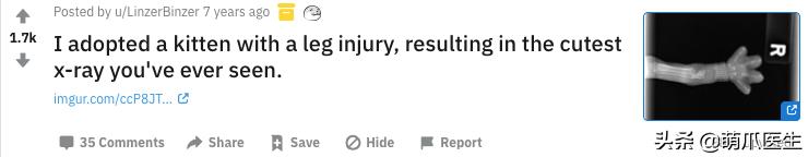 x光猫爪辟谣,猫爪x光是真的吗