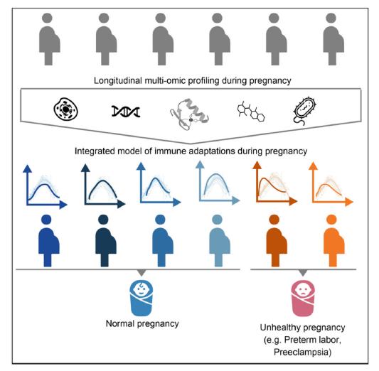 免疫系统哪些会影响孕期胎儿发育,怀孕后孕妇免疫系统的变化
