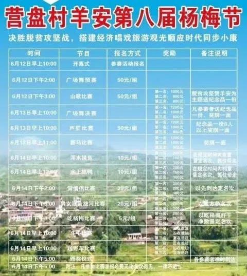 羊安杨梅节直播,羊安杨梅采摘