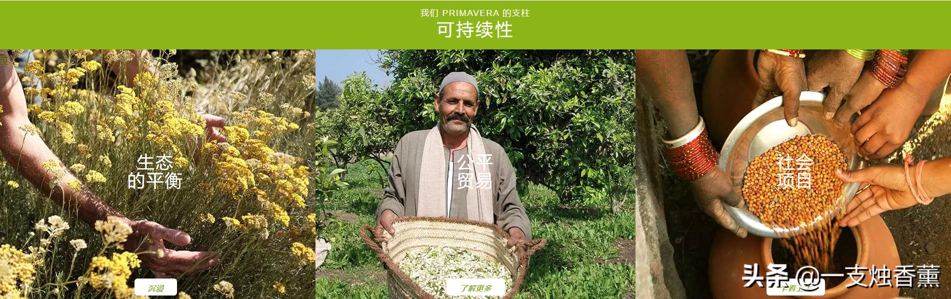 德国精油40年品牌,德国o家精油