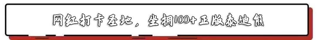 告别东方明珠、城隍庙，来上海这家暗藏100只泰迪的奶茶店
