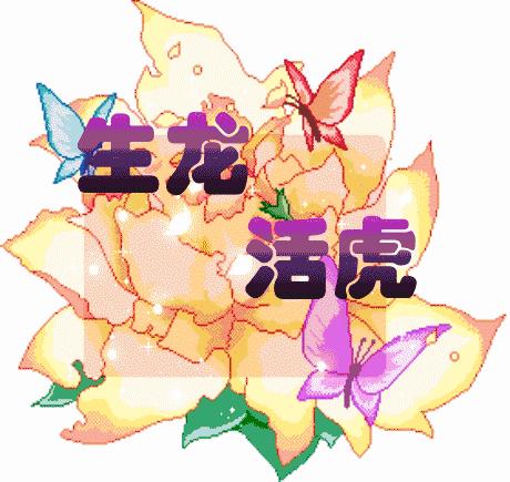 我把幸福送给你,11月快乐我把祝福送给你高清图片