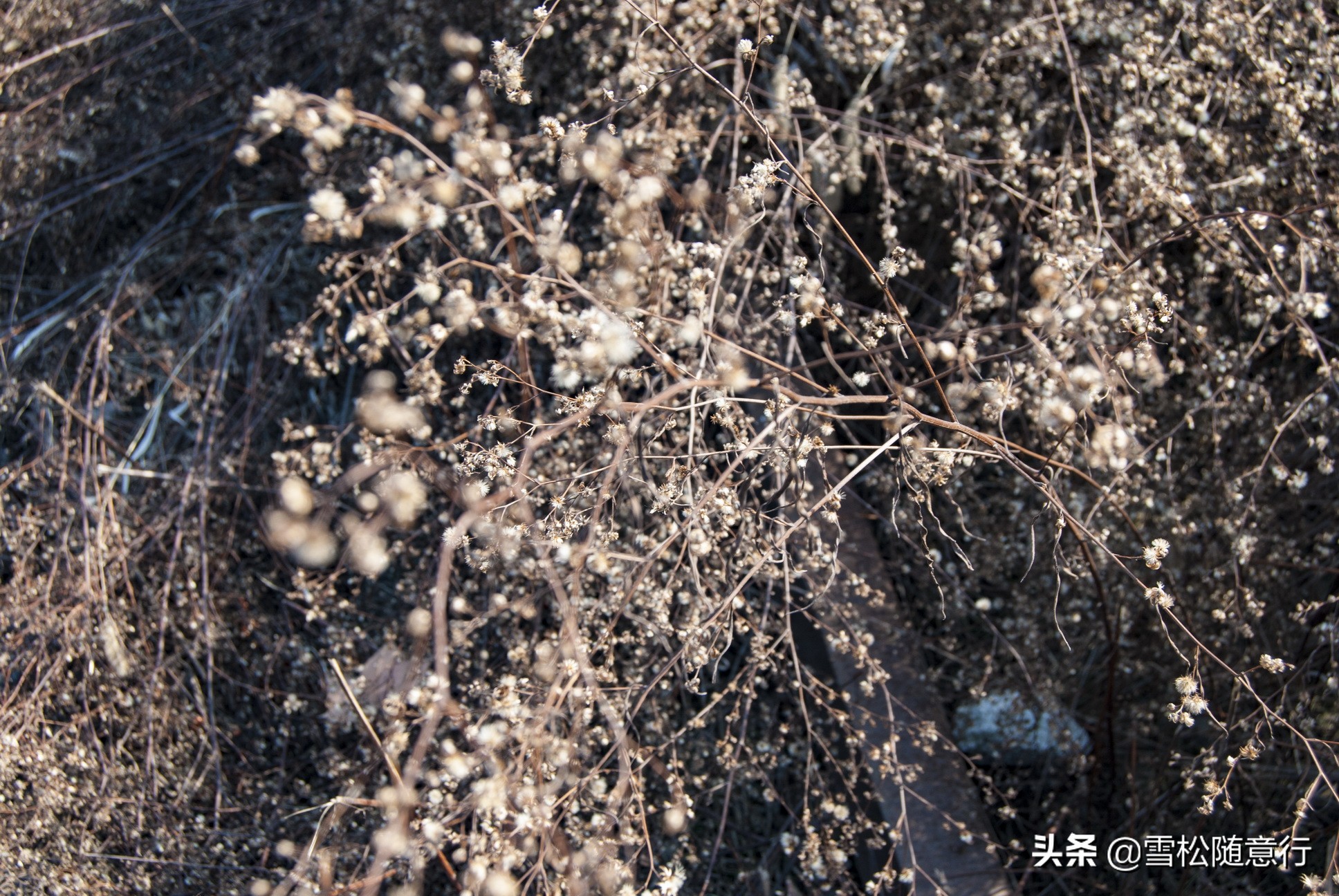 走进旧时的乡村,徐州陇海铁路遗址