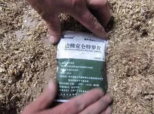 “瘦肉精”屡禁不止,有没有好办法去除瘦肉精