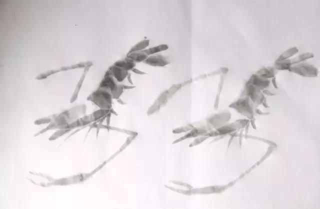 墨龙画法教程简单毛笔,河虾简笔画教程