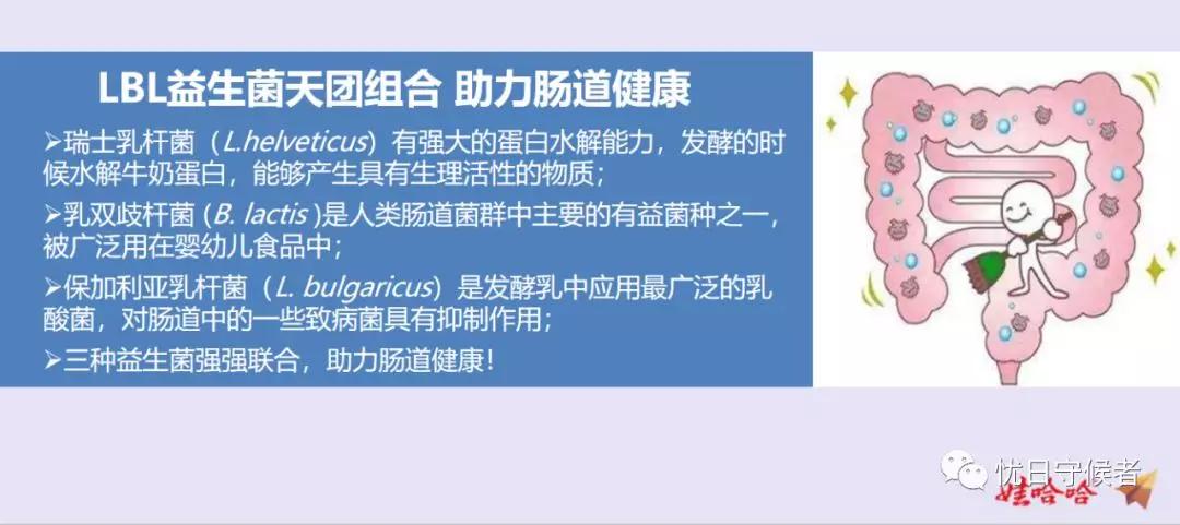 乳酸菌为什么那么便宜,乳酸菌遇火