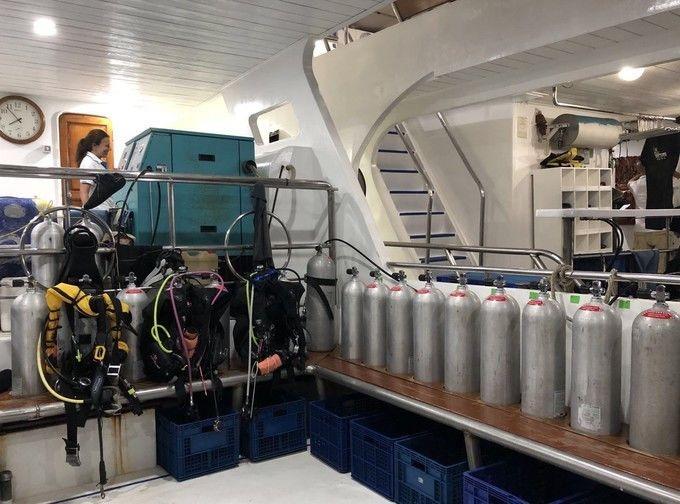 船宿去哪里体验感最好,想去邮轮旅游需要提前确定什么