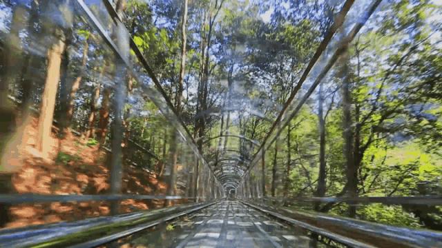 长沙浏阳市皇龙峡景区介绍视频,浏阳皇龙大峡谷攻略
