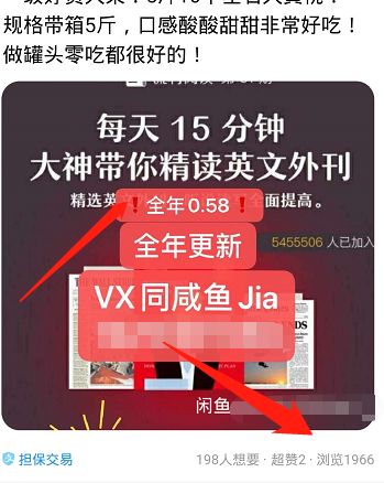 闲鱼新蓝海玩法,细致分析闲鱼基础流量