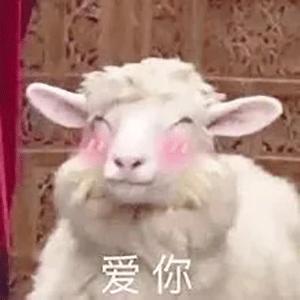 如何裁剪视频一招帮你搞定,视频裁剪简单方法