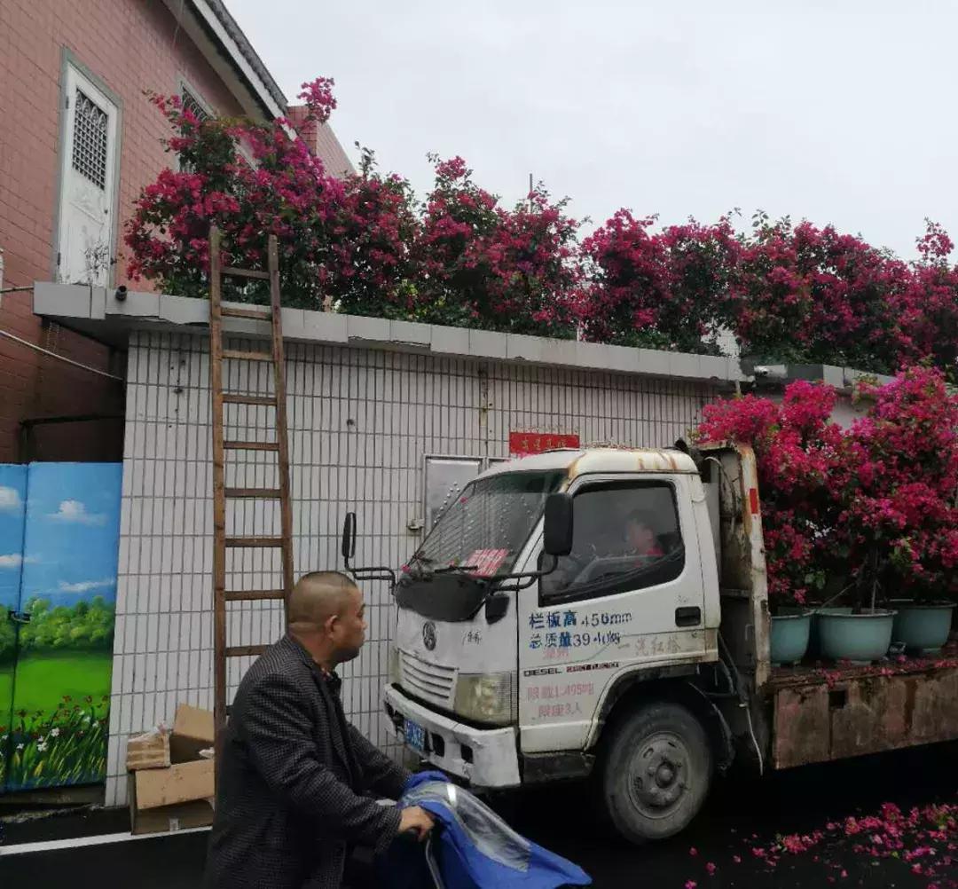 王金平白礁慈济宫,王金平赴厦门开启祭祖之旅