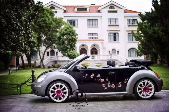 “樱妳而来”,一起奔跑!在魔都的早樱花海下邂逅美丽的自己!