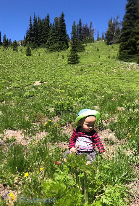 怎么带两岁小孩旅游,适合带3岁小孩去旅行