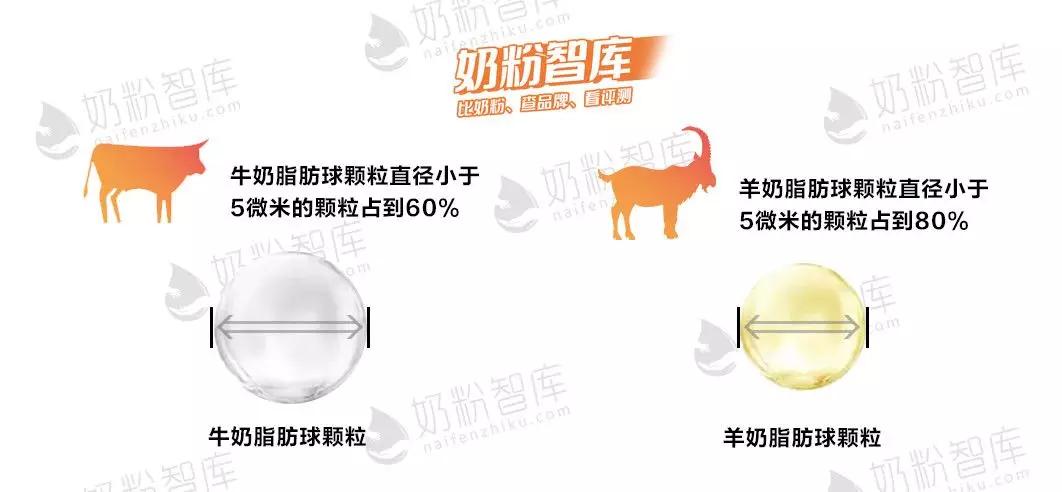 佳贝艾特和可瑞康羊奶粉,佳贝艾特金装羊奶粉测评