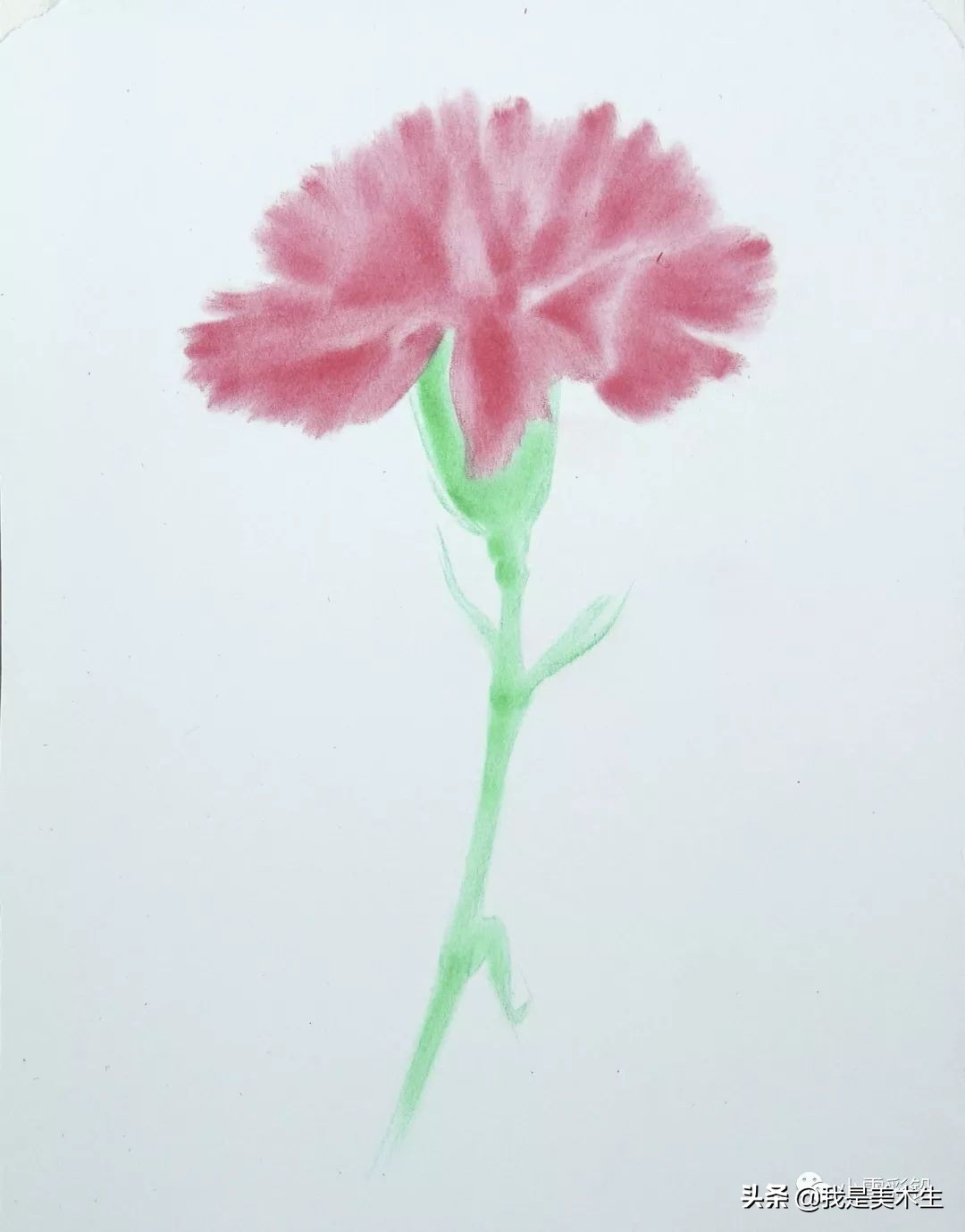 怎么画一束美丽的彩铅康乃馨,怎么用彩铅给纸做康乃馨上色