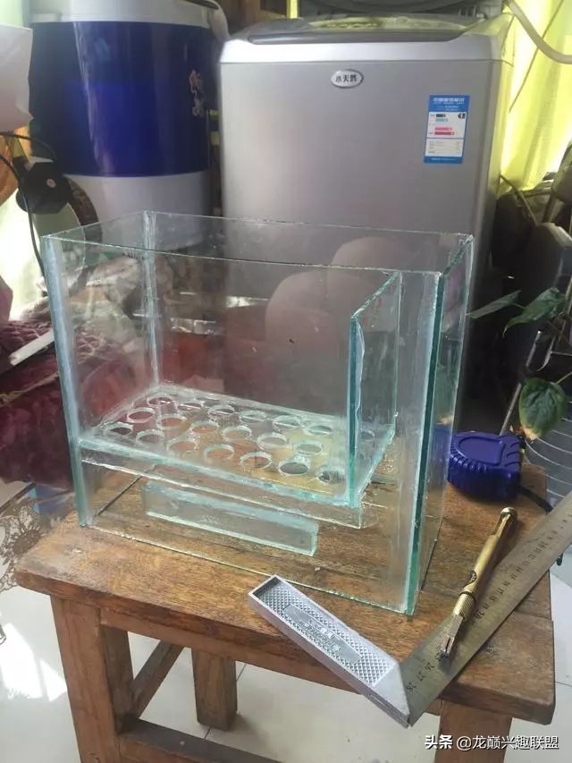 垃圾桶旁边的四方鱼缸,捡回去养了一缸金鱼,别说还挺不错