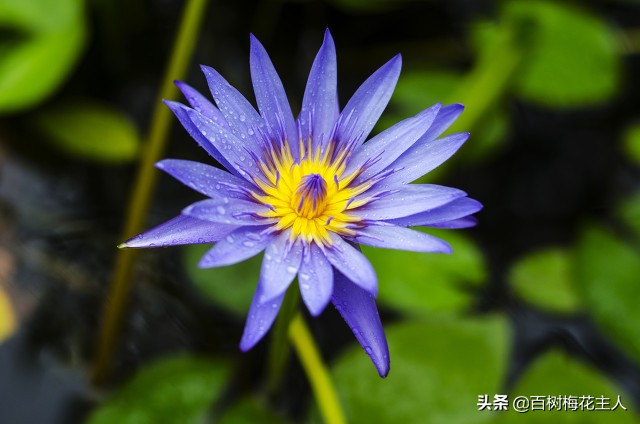 男孩身患绝症的爱情故事,男孩被母亲抛弃的感人故事