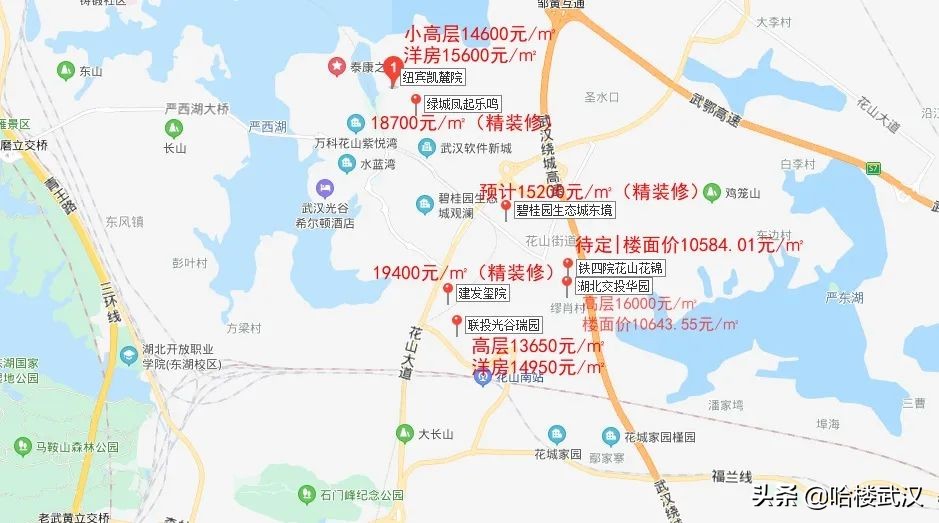 光谷东王放风价,放风价9800元以下的楼盘