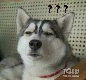 属鸡和属狗有没有共同的幸运数字,属鸡好还是属狗好