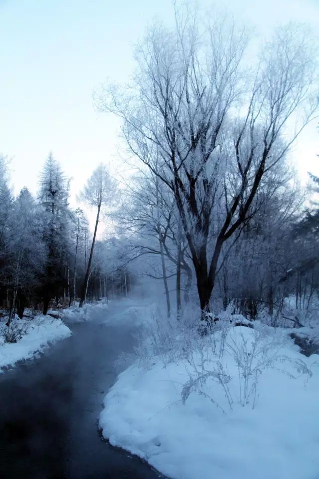 长白山冬天去是不是更美,长白山的冬天美得让人窒息