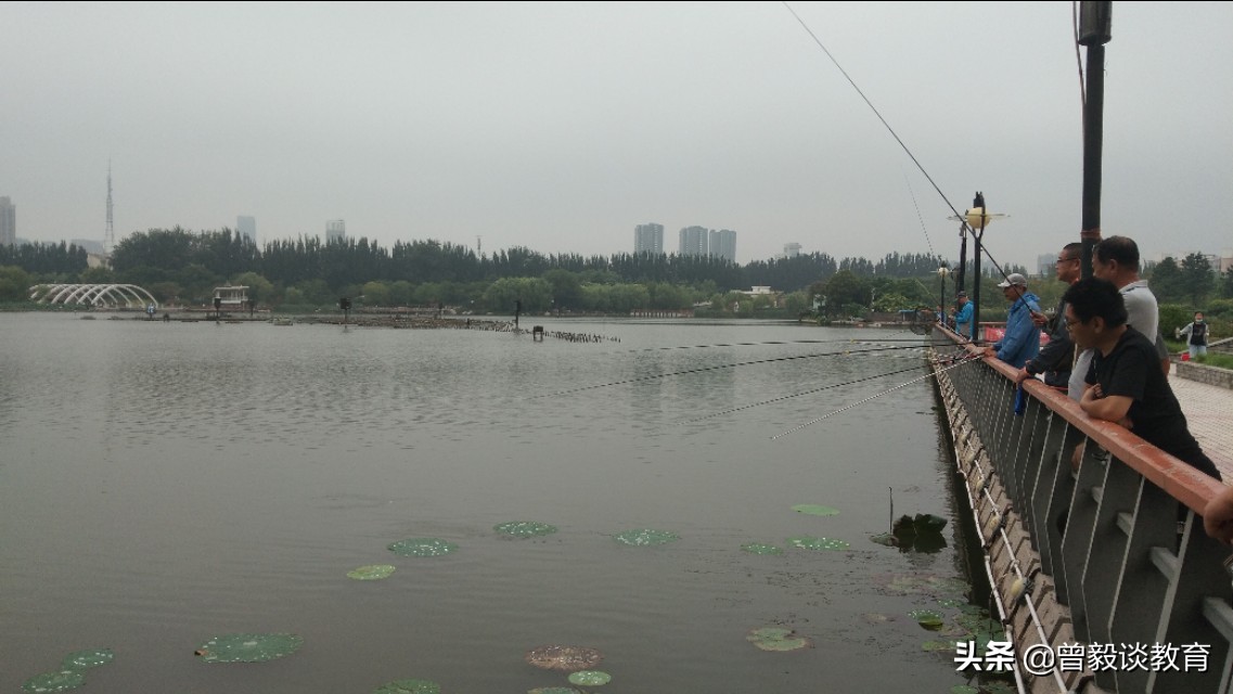 周末带娃出来抓抓虾,周六爸爸陪宝贝抓螃蟹