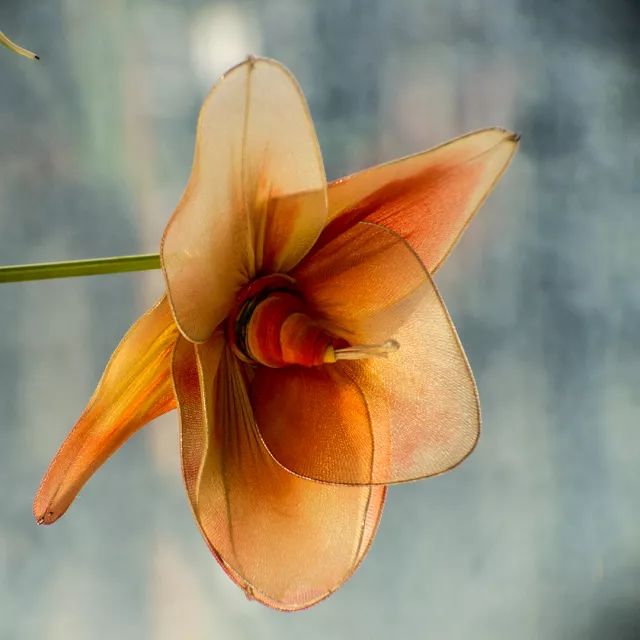 花三千买了台3D打印机，救活一堆老镜头