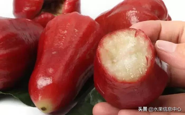 中国水果大全,中国水果大全图片和名字