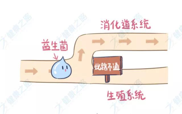 抗菌卫生巾真的抗菌吗,抗菌卫生巾杀菌消炎抗真菌